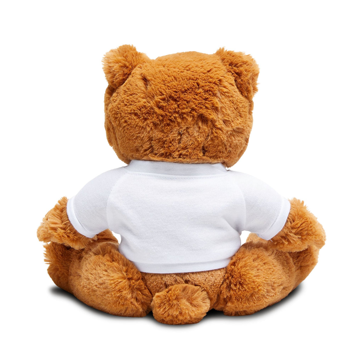 My Beary best friend Teddy